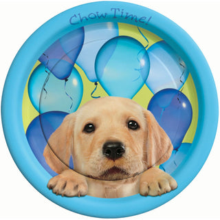 Cute Party Pups Lunch Plates Birthday Party Disposable Tableware and Dishware Supplies, 8.8" x 8.8", 8-Count Packages (Pack of 6)